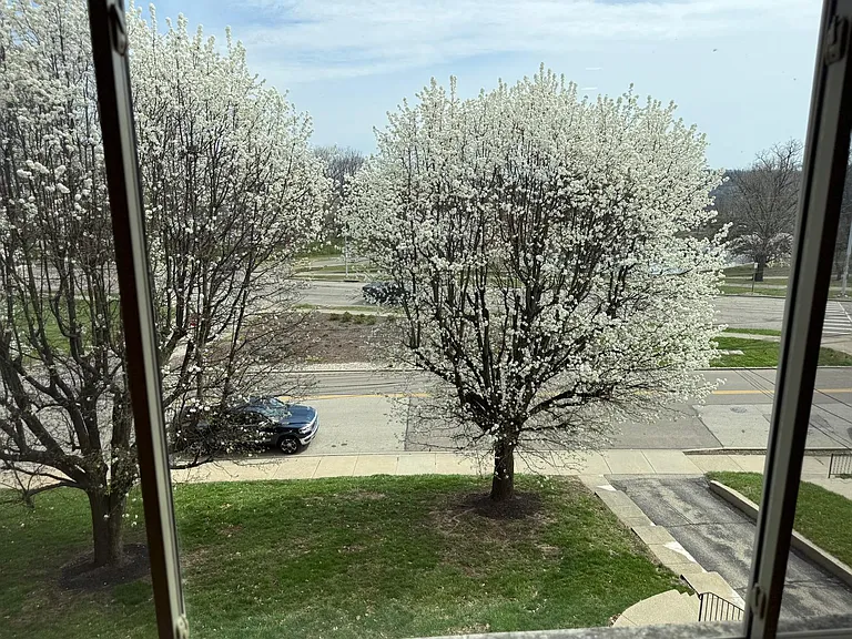2123 Luray Ave #1 — Photo 21