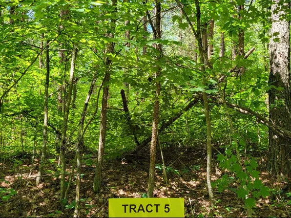 4000 Hazel Patch Rd, East Bernstadt, KY 40729