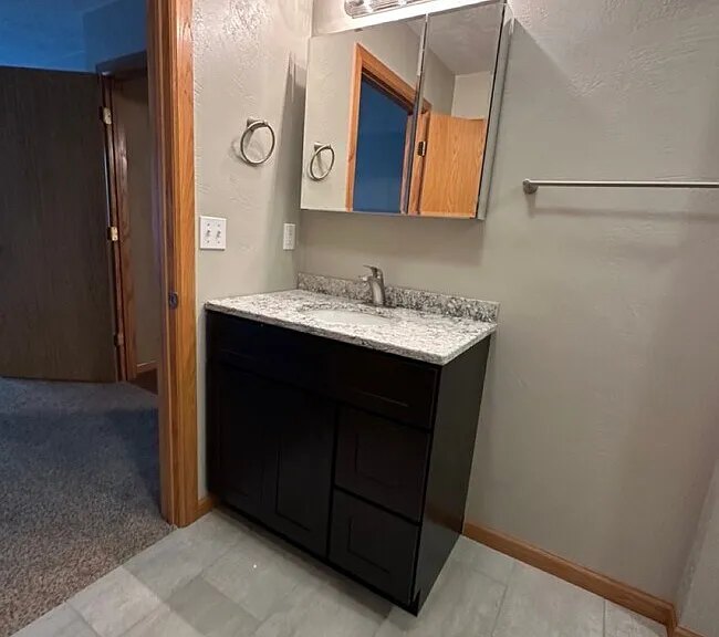 Master bathroom vanity