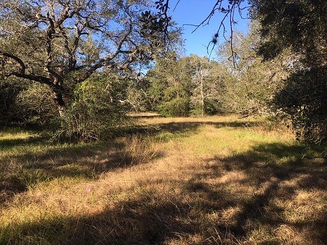 2nd image of 135 Center Tree Dr
