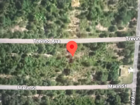 7919 Trevino Avenue, Sebring, FL 33872