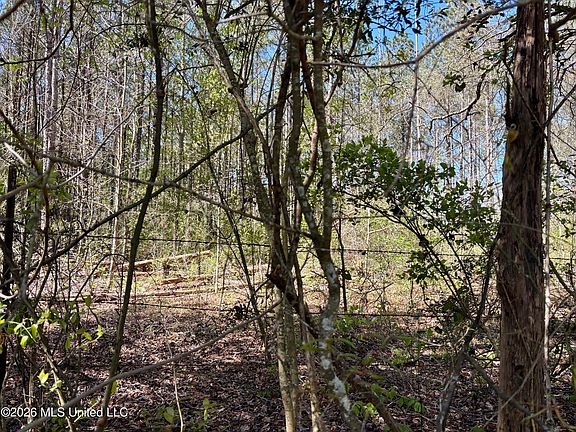 3rd image of Evans Loop SE