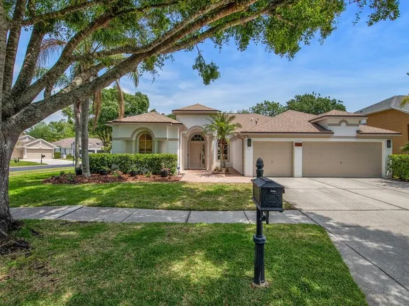 12806 CASTLEMAINE DRIVE, TAMPA, FL 33626