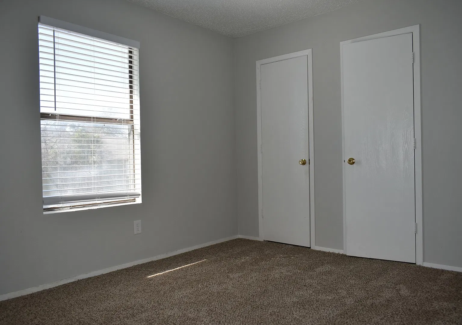 Charming 1-Bedroom Apartment in Fort Worth 700 Sq. Ft. — Photo 4