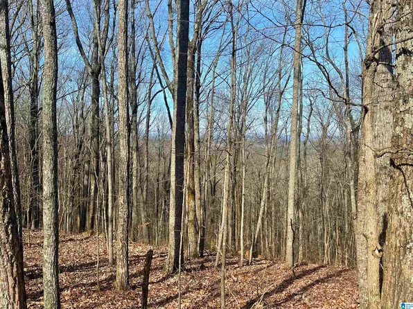 0 County Road 852 #1, Heflin, AL 36264