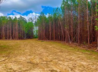 Reeves Rd SE, Ruth, MS 39662