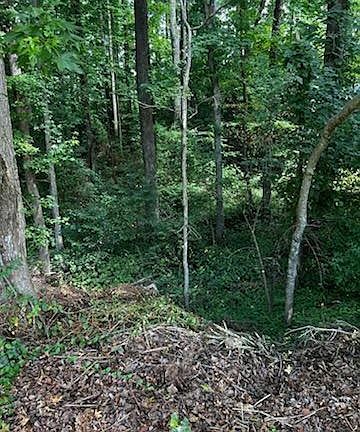 2nd image of LOT 19 Fieldstone Dr Lot 19