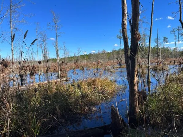 0 Jefferies Hwy, Walterboro, SC 29488
