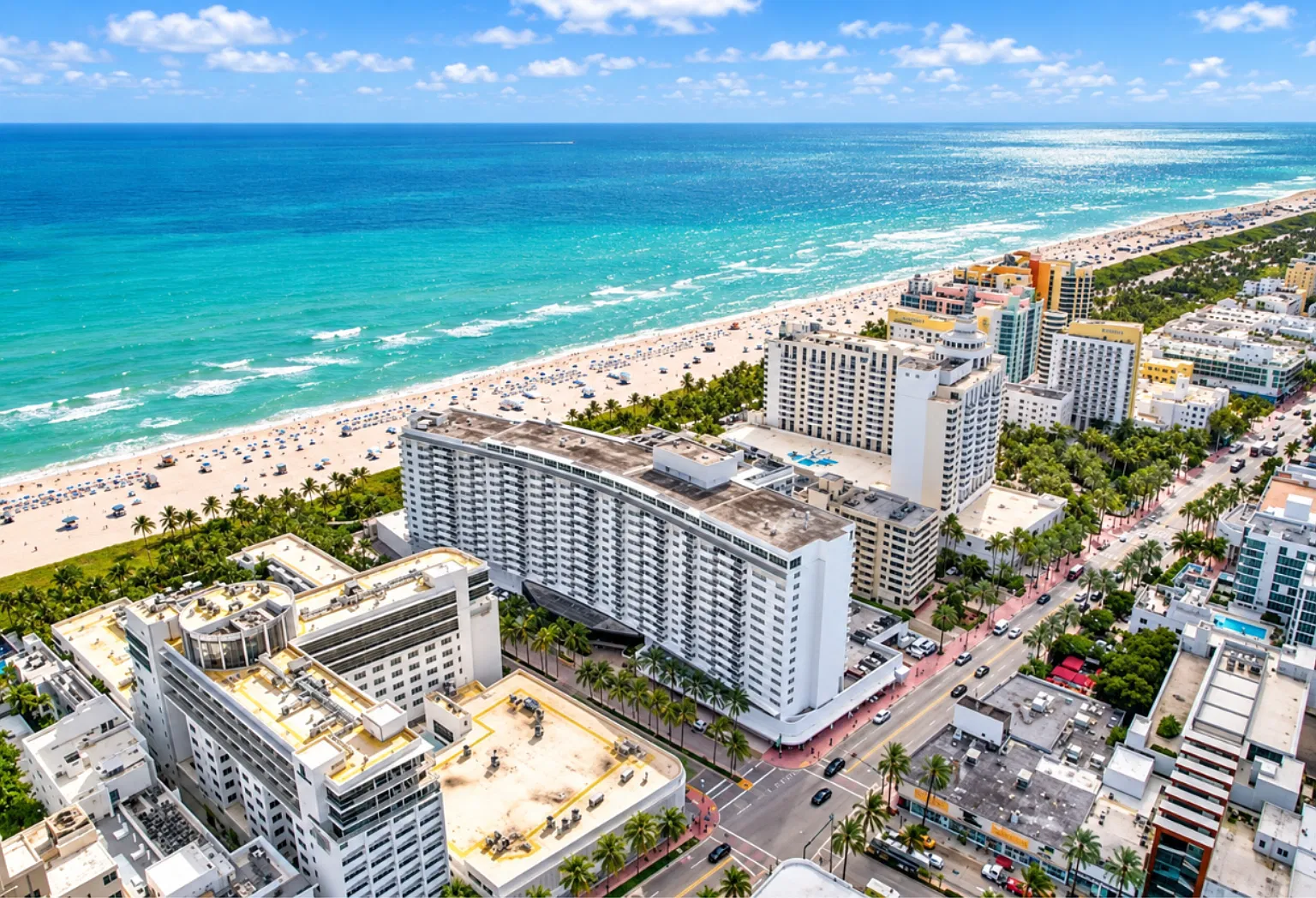 1 bed, 1.5 bath, 865 sqft, $5,000 — Photo 4