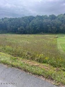 LOT 2 Shady Rd, Strawberry Plains, TN, 37871
