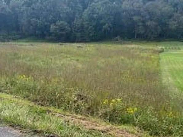 LOT 2 Shady Rd, Strawberry Plains, TN 37871