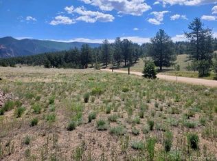 County Road 31, Lake George, CO 80827