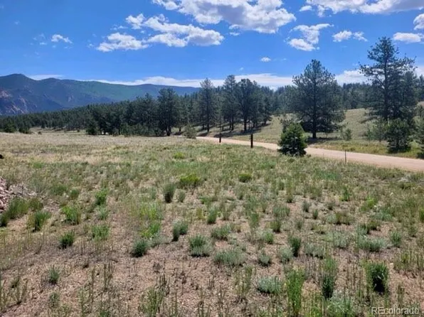 County Road 31, Tarryall, CO 80827