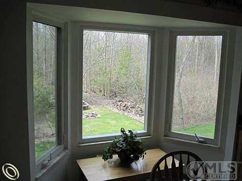 view from kitchen table.JPG