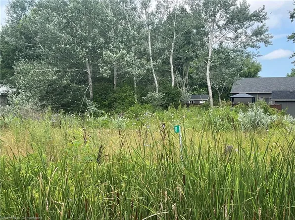 17 Dickhout Rd, Haldimand County, ON N0A 1K0