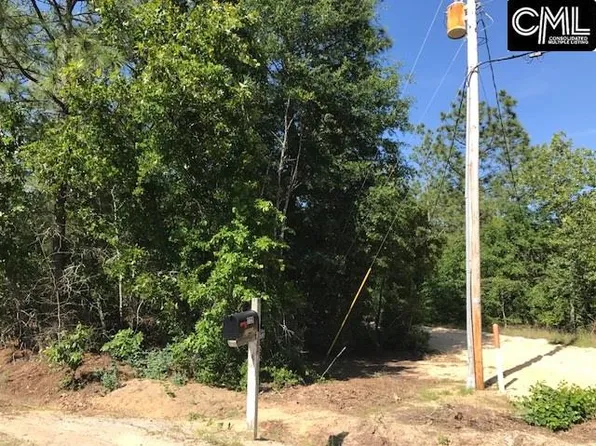 1729 Windy Wood Rd, Pelion, SC 29123