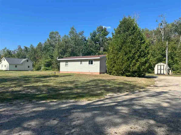 8849 Blumke Rd, Alanson, MI 49706