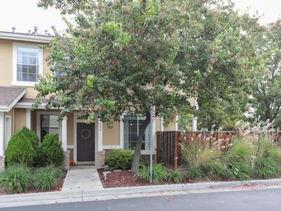 392 Castlemaine Ct, San Jose, CA, 95136