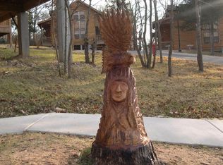 288 Oak Ridge Rd, Branson, MO 65616