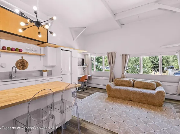 412 N Mill St #B9, Aspen, CO 81611