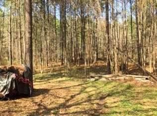 2945 Bradshaw Rd, Grand Cane, LA 71032