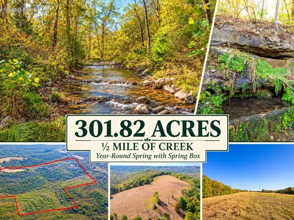 Tbd Wolf Road, Walnut Shade, MO 65771