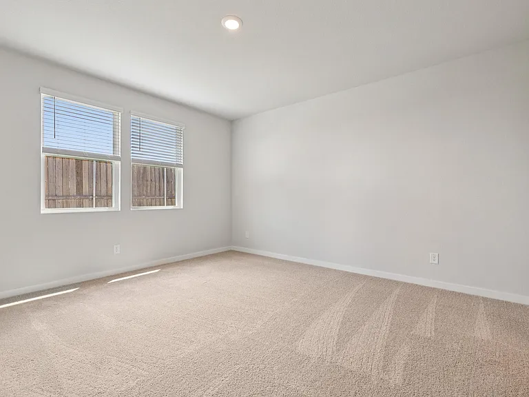 125 Cutleaf Cv — Photo 20