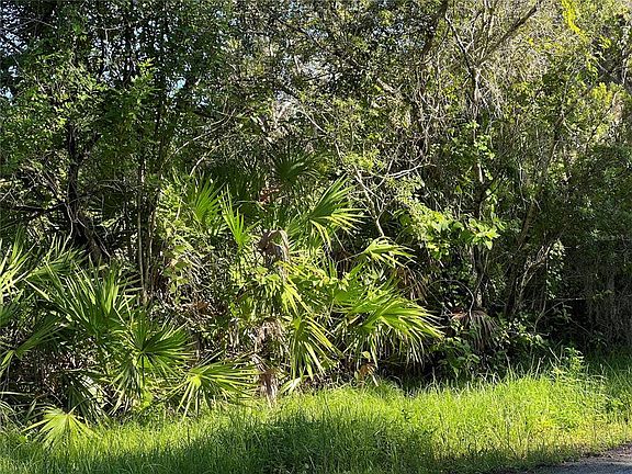 3rd image of Desoto Dr