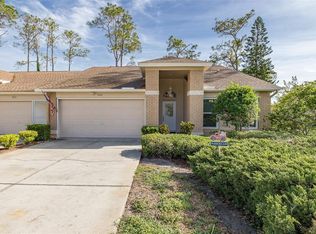 9519 Scenic Pine Ct, New Port Richey, FL 34655