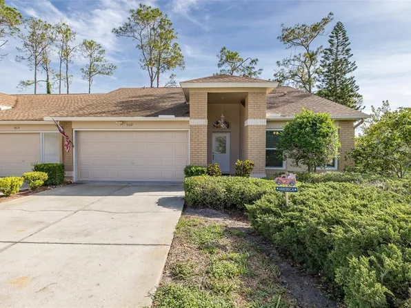 9519 Scenic Pine Ct, New Port Richey, FL 34655