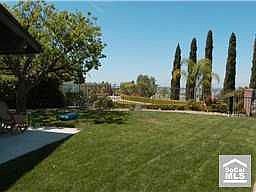 Backyard with View