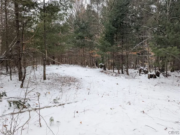 7131 Maple Dr Lot 63, Glenfield, NY 13343