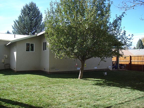 Back Yard facing house