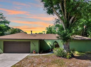 1013 Celtic Ct, Brandon, FL 33510