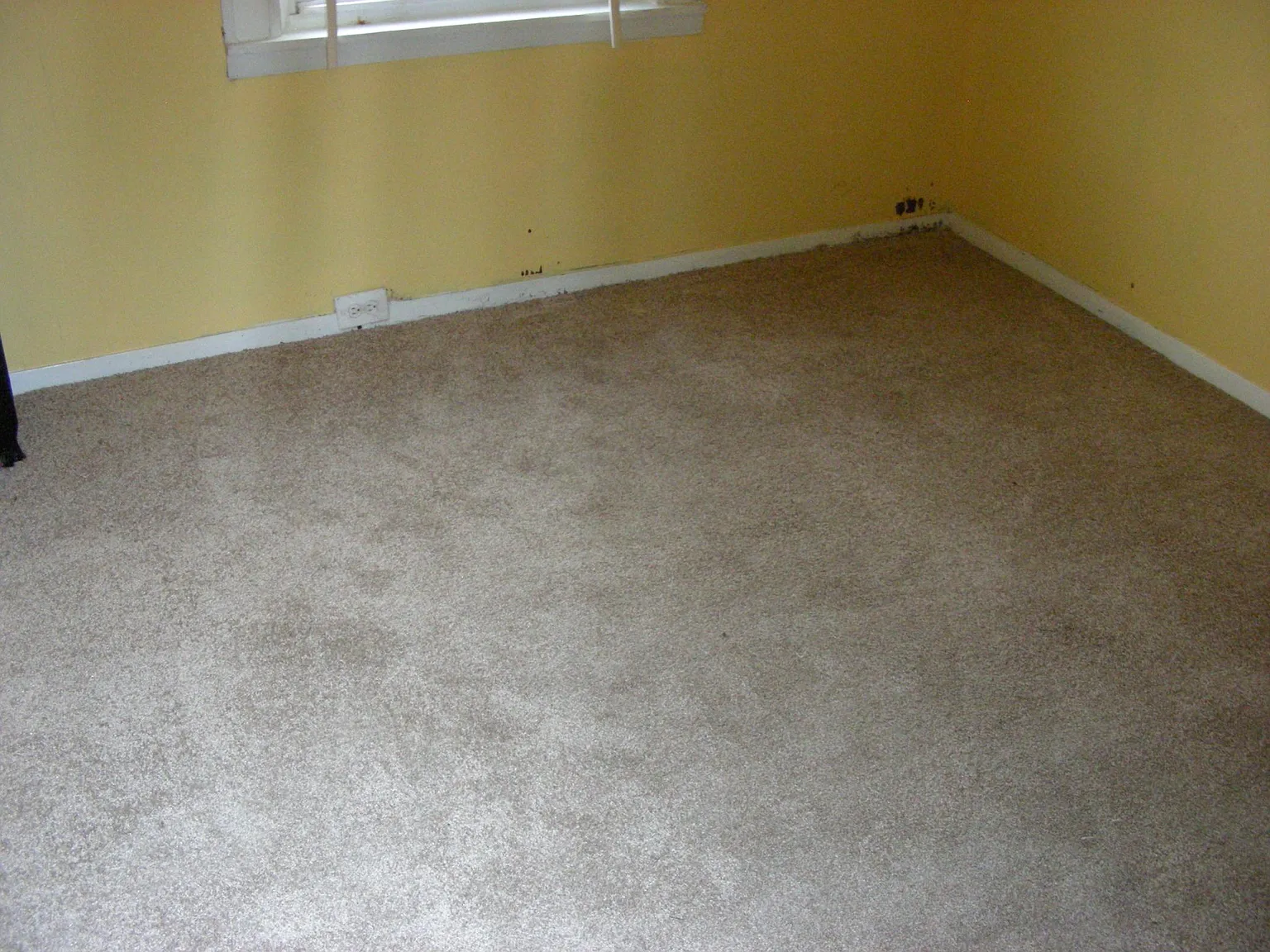 427 Rosecroft Ter — Photo 1