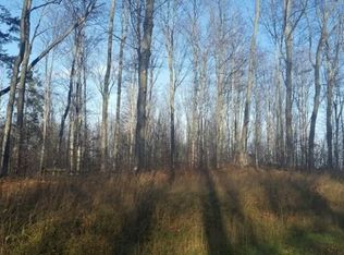 Tremblay Rd, Mancelona, MI 49659