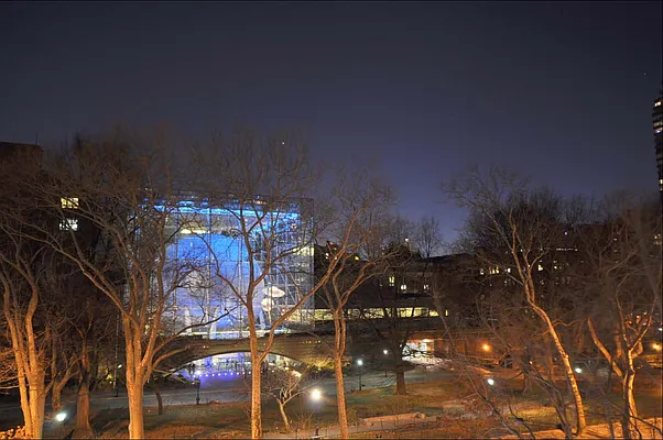 Sold by Carol E Levy | media 41