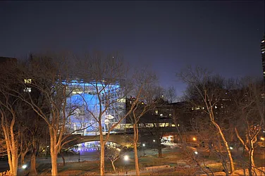 Sold by Carol E Levy