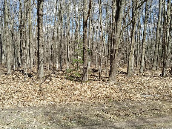 3rd image of LOT 69 Louise Dr