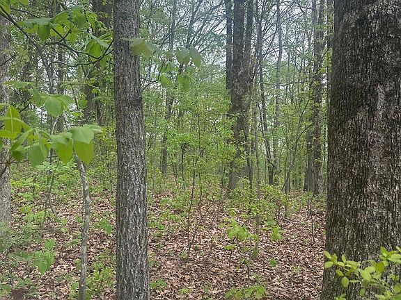 3rd image of 8768/8750 Bobwhite Dr Lot 61 & 62