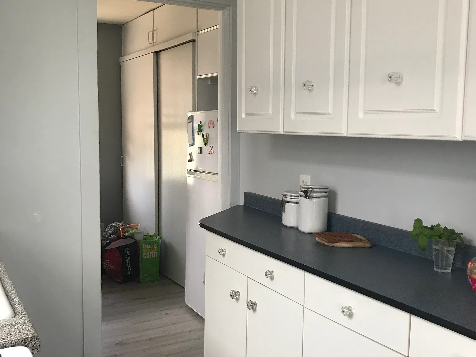 3 bed, 830 sqft, $5,500 — Photo 4