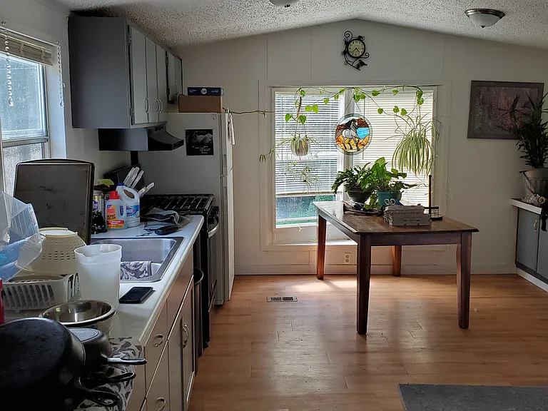 11804 Cedar Creek Rd — Photo 3