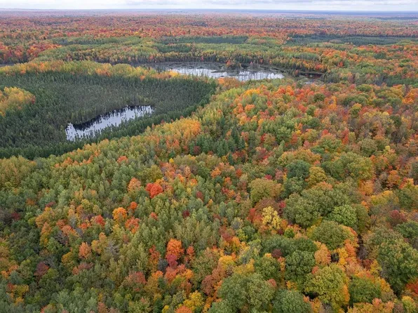 000 WOOD LAKE AVENUE, Rib Lake, WI 54470