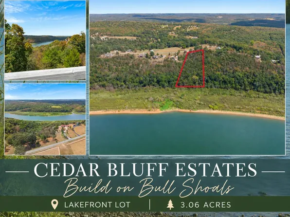 Tbd Frisco Hills Road, Kissee Mills, MO 65680