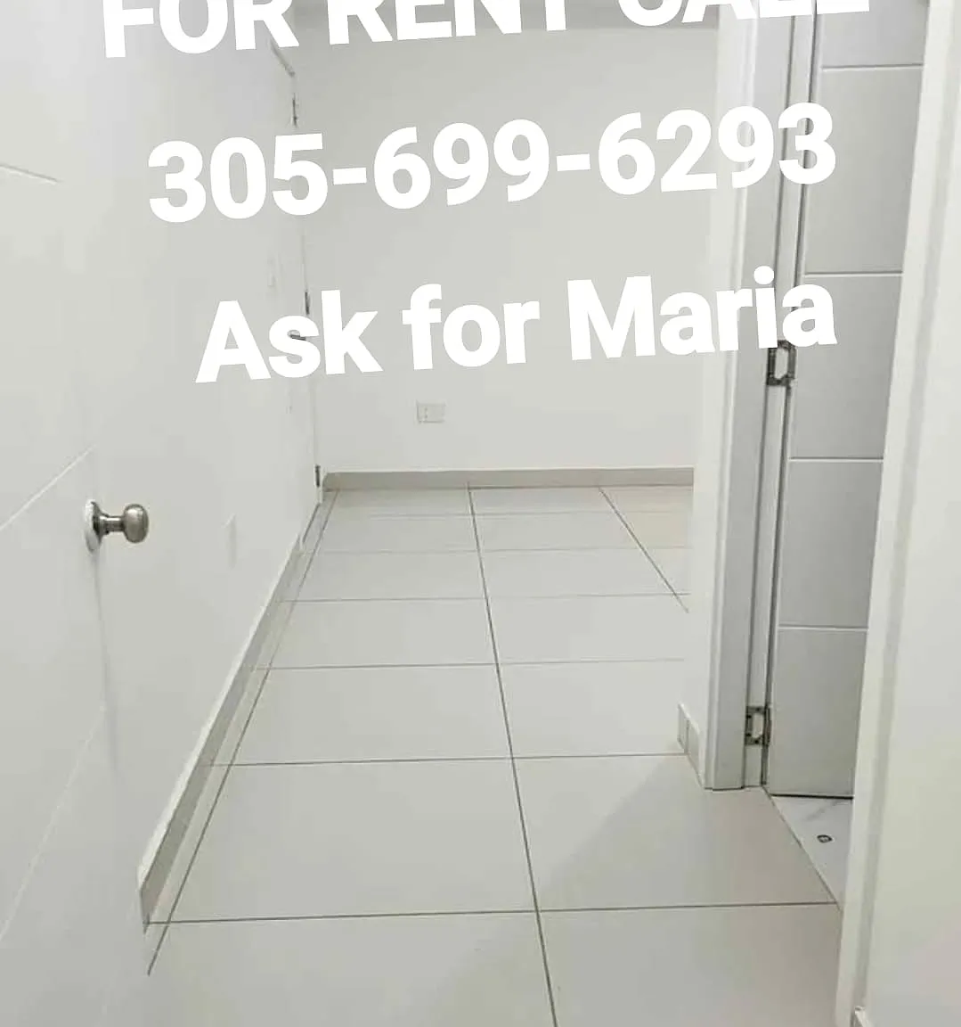 1 bed, 350 sqft, $1,200 — Photo 4