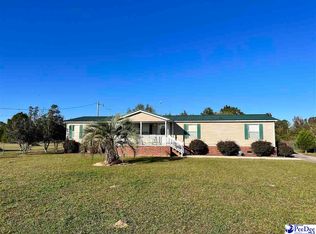 1264 Chair Rd, Hemingway, SC 29554