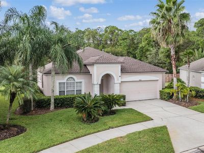12514 Loquat Way, Tampa, FL, 33626