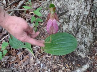 Yeawood Dr, Boston, VA 22713