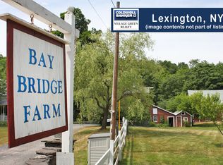 1369 N Beech Ridge Rd, Prattsville, NY 12468