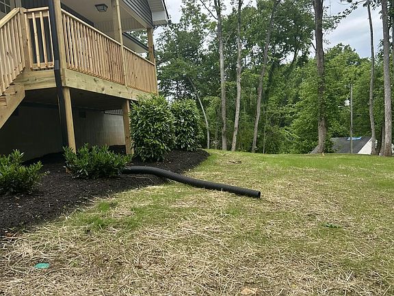 5th image of 2035 Goforth Ave